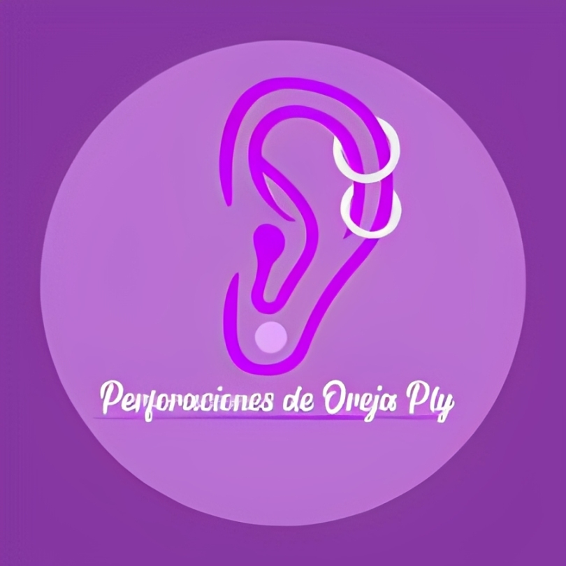 Perforaciones Oreja PTY - Cliente de DYNA SOFT